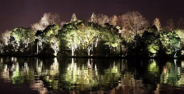 西湖,运河,钱江畔……这么美的夜景,99%的杭州人没见过!