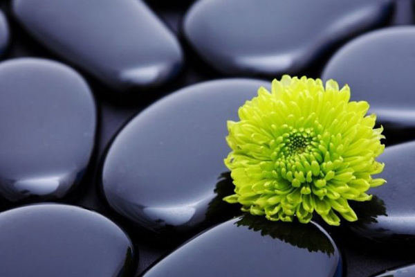 如何让孩子听话又有主见,pt老虎机中奖率,注册