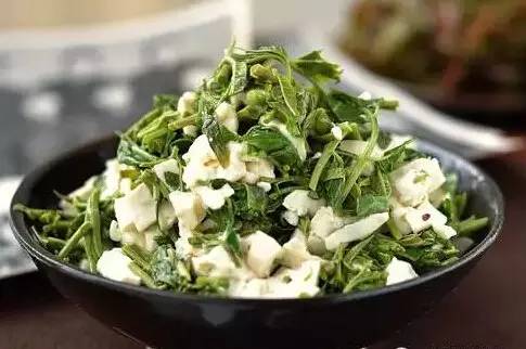 香椿拌豆腐