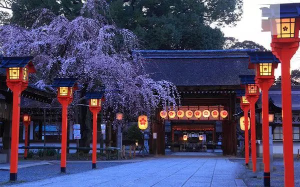 京都平野神社|夜色下的粉红幕布地址:京都右京区嵯峨野及西京区岚山