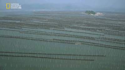 霞浦