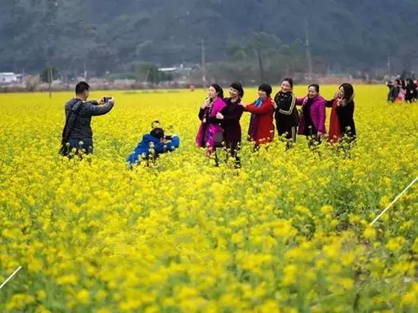 春天花会开揭阳所有赏花景点都在这里了