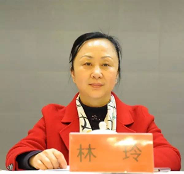 安化县委常委,宣传部部长林玲