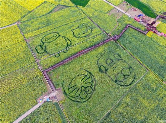 3月8日,四川广汉,广汉西高镇李堰村万亩油菜花盛开,今年最大亮点就是