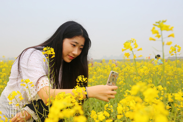 【组图】三月清远赏油菜花,雨天游金色花海,正果镇油菜花海 - 六维