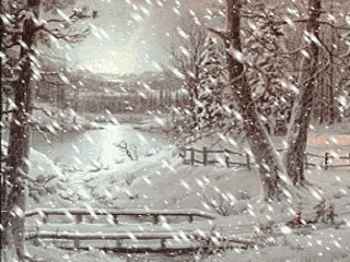 红池坝又下雪了!好美.