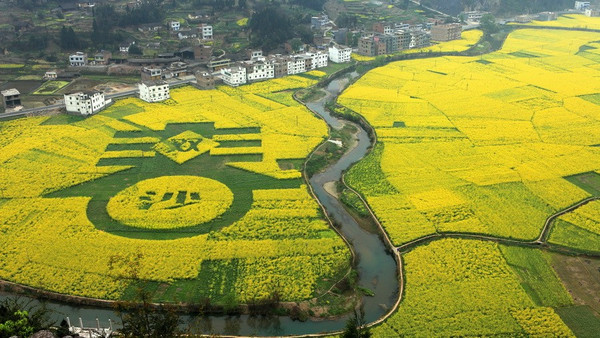 从成都出发,一路扫荡8处最美油菜花!