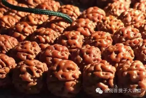 肉纹小金刚菩提怎么搭_小金刚菩提