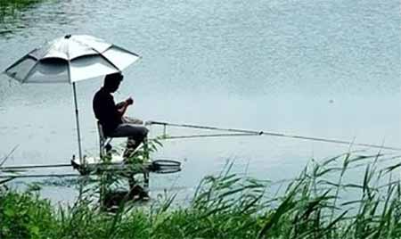 钓鱼的人为什么那么有耐心?