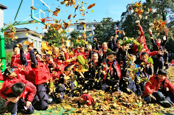 深化义务教育课程改革丨走进上城区?细读不一