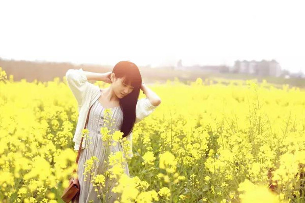 特价旅行|趁周末,去济州岛邂逅油菜花