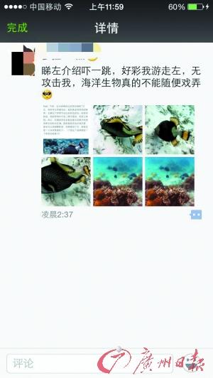 捐款未用完女儿去世 父亲晒出国游照被指滥用善款