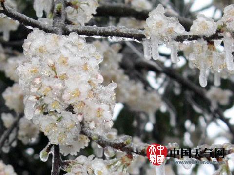 全国大部逐渐回暖 江南华南局地有暴雨(图)