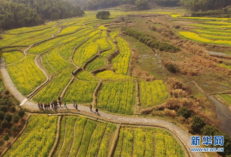 春又回大地(组图)3月11日,南昌市湾里区太平镇,游客们在郁金香景区内