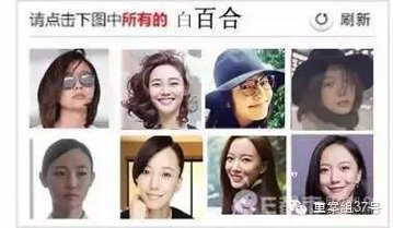 被网友吐槽为"升级版找你妹"的12306购票网站验证码。