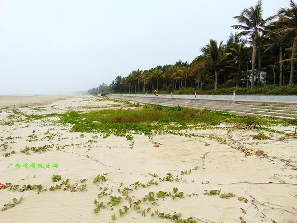 雾锁南方北戴河,见识茂名中国第一滩(广东沿海