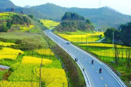 从平原蜿蜒至山区,穿过隧道,再进入平原,行驶在崇州重庆路上,大片大片