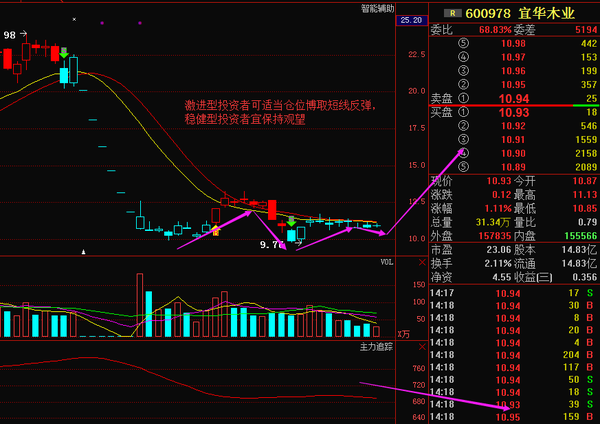 宜华木业(600978)个股解析