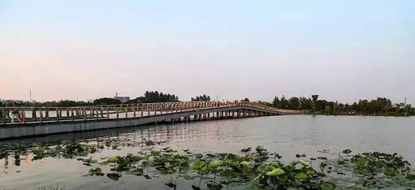 南京这18个湿地公园,值得