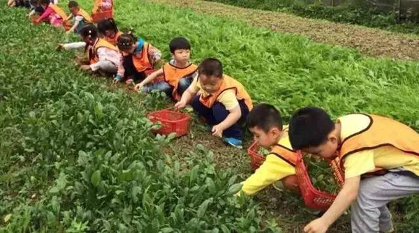 三月来安仁,赴一场春的约,安仁美食古镇,大邑美食尖沙咀面包店攻略图片