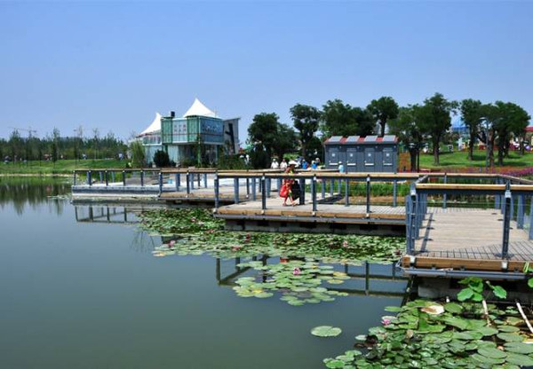 灞桥生态湿地公园_灞桥人口网