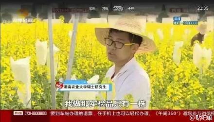 大学生实验田油菜花被游客摘 或无法毕业(图)