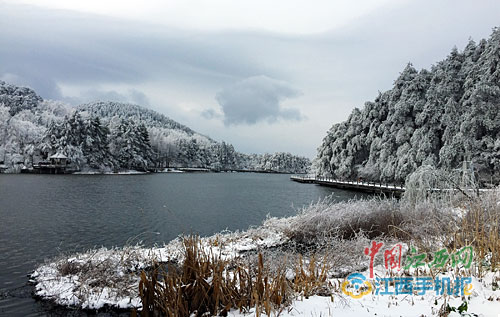 江西省19个地方飘下“桃花雪”(图)