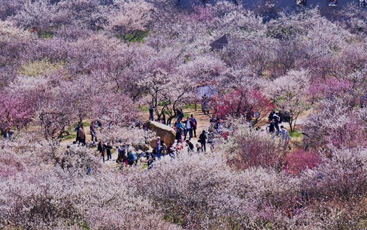 西山林屋洞:门票50元/可刷休闲年卡