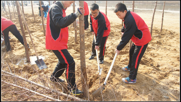 赣榆华杰双语学校:师生义务植树 共建绿色家园