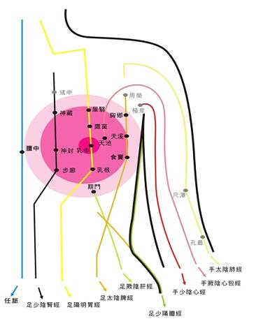 乳腺增生--经络受阻结出的果子