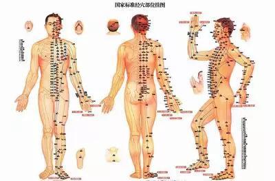 中山式腰带好不好