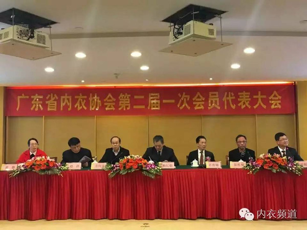 陈店内衣协会_汕头陈店内衣(2)