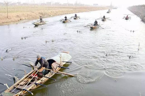 射阳人口有多少_射阳风景图片