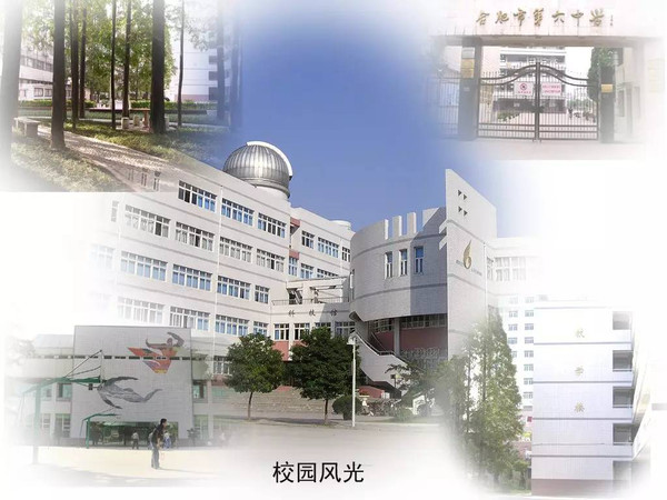 合肥学校排名