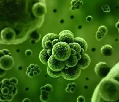 科学总结外星人十大骇人特征最后一条很危险