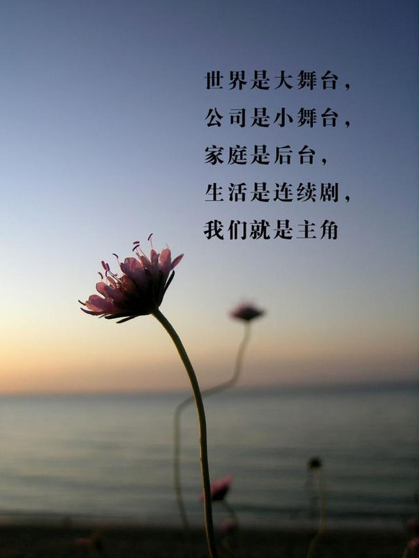 ʮ־о,侫!