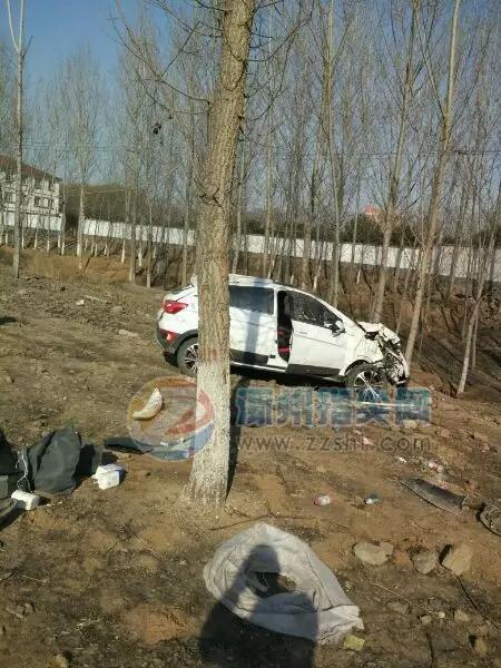 涿州码头京白路司机小伙自撞大树,车头都撞歪
