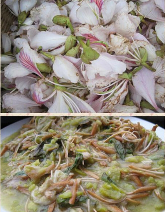 春天到了,欢迎来云南吃花!