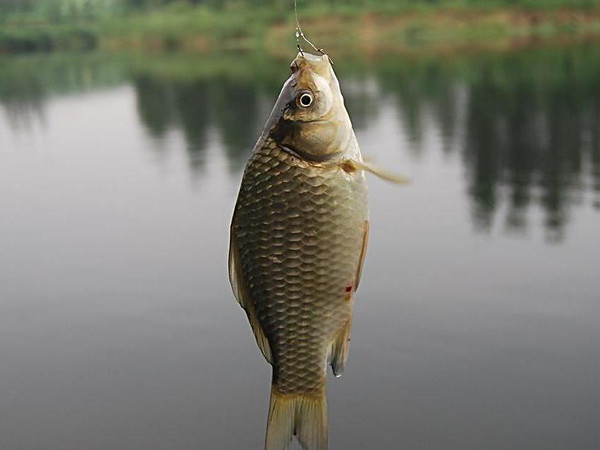 ڶ紺ʱڴʹõĶͨǴɳ,Ҳ׳