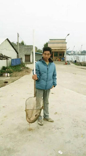 记者百度了一下,此鱼和雀鳝比较相似。雀鳝产于北美或中美等地,主要栖于淡水,有锐利牙齿,是大型凶猛鱼类,肉食性。雀鳝肉可以食用,但卵有毒。在中国上海、重庆、韶关等地,雀鳝作为外来入侵物种,对当地其他鱼类构成极大威胁,有可能会破坏当地的生态系统。图为梁先生捉到的“怪鱼”。