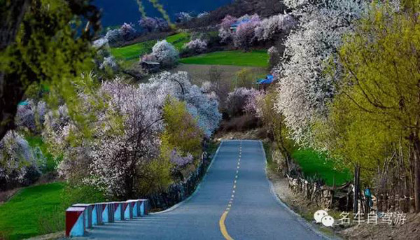 中国最美的山区公路 mp63443910_1457986043208_4.jpeg