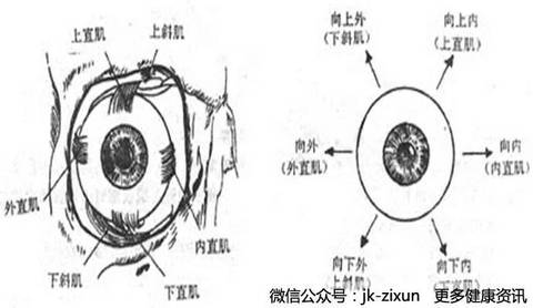头疼眼酸疼畏光是斜视眼