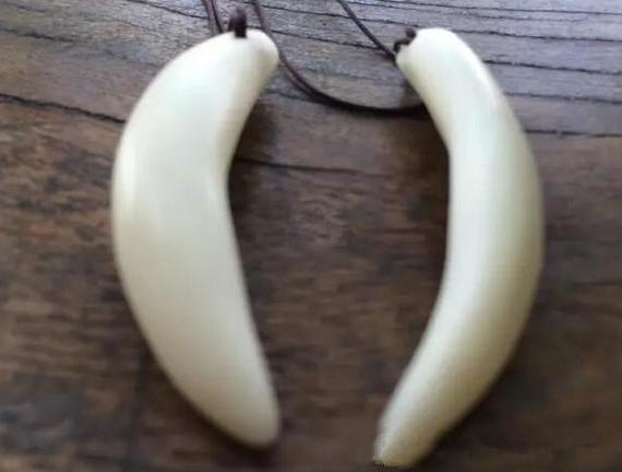 看我怎么用象牙果做狼牙!