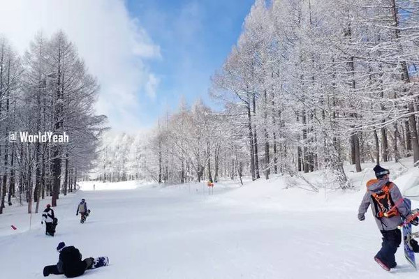 去日本看雪山玩滑雪泡温泉超详细攻略(逗比视频)自由,是我们的最高