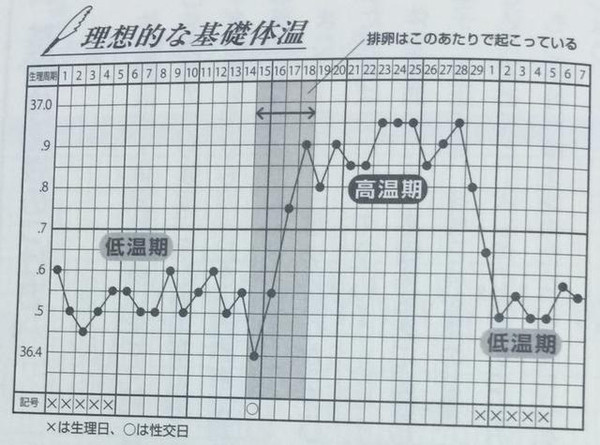 生殖中心院长告诉你 排卵期哪天同房最易受孕