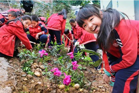 巴南区李家沱小学开展植树节活动