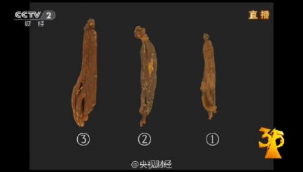 21:05【千万小心:你买的人参可能一半是白糖!手把手教你鉴别】红参是消费者常用的滋补品,按国家标准,含糖量不应超过20%,然而有些商家竟将其加糖熬制,增重30%!含糖量直飚50%!若糖尿病人服用很可能加重病情,伤害更大!那么该如何鉴别?选“丑”的:红润饱满的掺了糖;选“干”货:软糯发粘的含糖量超标。