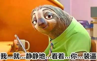史上最全树懒表情包,超萌超可爱!保……存……要……慢