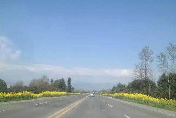 崇州的这条重庆路素有"中国最美乡村公路"之称.