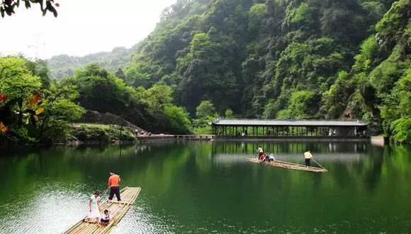 什邡蓥华山风景区 雅安 >>>> 碧峰峡自然风景区 >>>> 碧峰峡野生动物